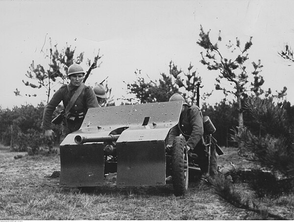 Polish artillerymen prepare their firing position with the wz. 36 Bofors gun in training, 1939.