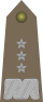 Army-POL-OF-08.svg