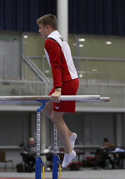 File:Austrian Future Cup 2018-11-23 Training Afternoon Parallel bars (Martin Rulsch) 0013.jpg