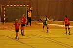 Artikel: Handboll