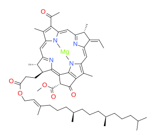 File:BacterioChlorophyll b.svg