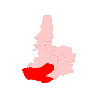 <span class="mw-page-title-main">Baghbar Assembly constituency</span> Constituency of the Assam legislative assembly in India