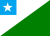 Bandeira de Elísio Medrado.png