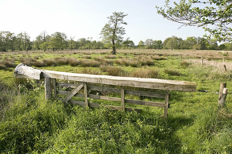 File:Beekdallandschap "De Holten", houten hek in weiland - Grolloo - 20529338 - RCE.jpg