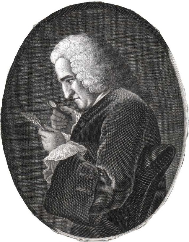 Bernard de Jussieu