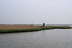 Berney Marshes - geograph.org.uk - 807356.jpg