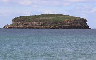 Munmorah Conglomerate