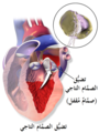 تصغير للنسخة بتاريخ 16:34، 7 يوليو 2019