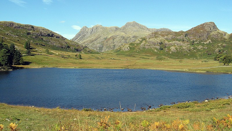 File:Blea Tarn Cumbria - geograph.org.uk - 3686882.jpg