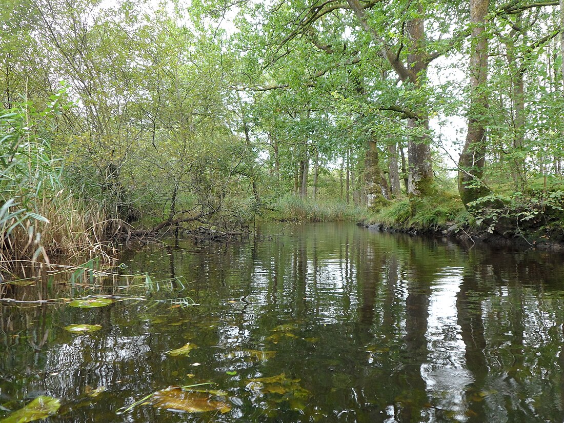 Blelham Beck