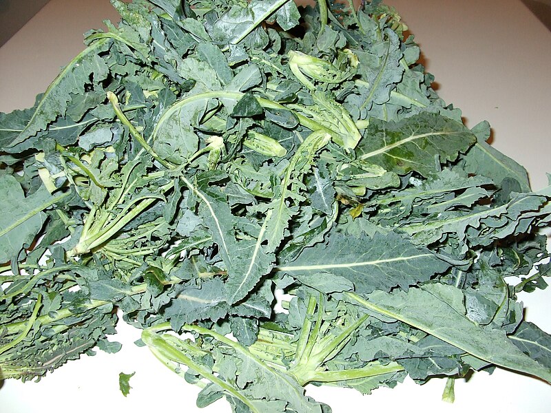 File:Broccolo fiolaro.jpg