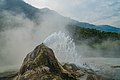 Bubbling geyser in Semuliki National Park - 1 Feb 2020.jpg
