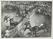 Bullfight in a divided ring, from the 'Bulls of Bordeaux' MET DP124107.jpg