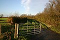 Byway to Common Farm, Witchford - geograph.org.uk - 286223.jpg