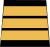 Colonel