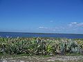 Intracoastal Waterway