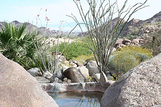 <span class="mw-page-title-main">Guadalupe Canyon Hot Springs</span> Thermal springs in Baja California, Mexico