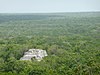 Calakmul8.jpg