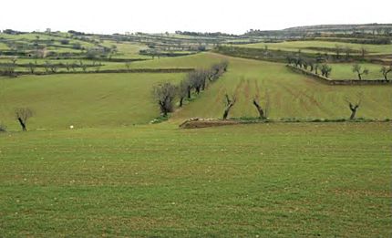 Massoteres (Segarra), 14 de gener de 2004