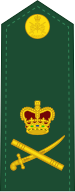 File:Canadian Army (2013-2016) OF-8.svg