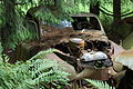 * Nomination A car at an Car graveyard in Belgium --Abigor 19:31, 20 February 2015 (UTC) * Promotion QI -- Spurzem 12:27, 21 February 2015 (UTC)