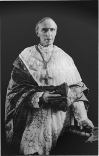 Désiré-Joseph Mercier Belgian cardinal (1851–1926)