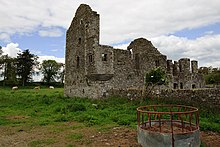 Castles of Leinster- Robertstown, Meath (geografia 2494848) .jpg