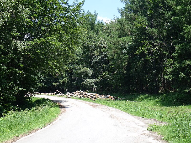 File:Cesta na vrch Dubník. Zlatá Baňa 23 Slovakia 10.jpg