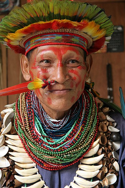 An Amazonian shaman