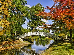 61. Platz: Rolf Kranz mit Chinesische Brücke im Wörlitzer Park in Wörlitz im Landkreis Wittenberg