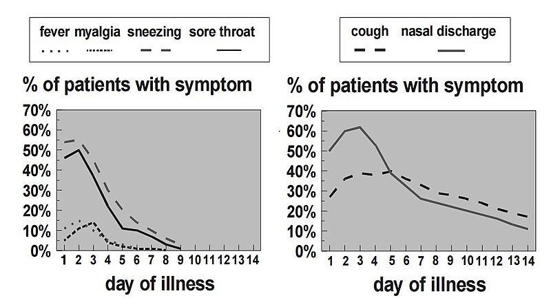 File:Cold symptoms cdc.jpg