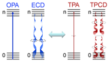 Figure 1. Comparative schematic between one-photon absorption (OPA) and TPA processes as well as ECD and degenerate TPCD. Comparative Schematic between One and Two Photon Processes.png