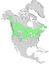 Cornus sericea ssp sericea range map 0.png