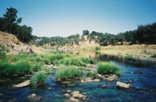 Cosumnes River at Michigan Bar, near the site of a proposed flood control dam