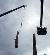 An arborist disassembling a tree using a crane and bucket Cranebucketcombo.jpg