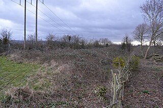 <span class="mw-page-title-main">Cropthorne New Inn Section</span>