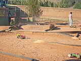 Un diumenge de primaver a la tarda al parc de Can Mercader, a Cornellà de Llobregat.