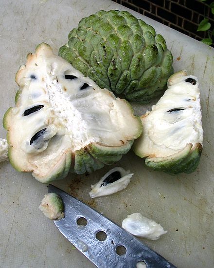A sugar apple fruit forms from the pistils and receptacle of one flower