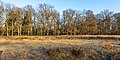 * Nomination Wildlife park in Dülmen, North Rhine-Westphalia, Germany --XRay 06:22, 13 March 2022 (UTC) * Promotion  Support Good quality -- Johann Jaritz 06:54, 13 March 2022 (UTC)