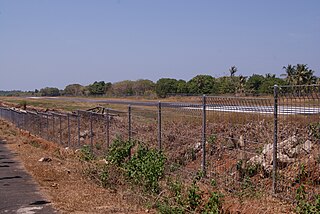 <span class="mw-page-title-main">Dewadaru Airport</span> Airport in Karimunjawa, Central Java, Indonesia