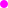 Disc Plain magenta.svg