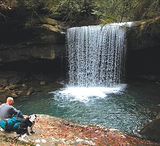 <span class="mw-page-title-main">Dog Slaughter Falls</span>