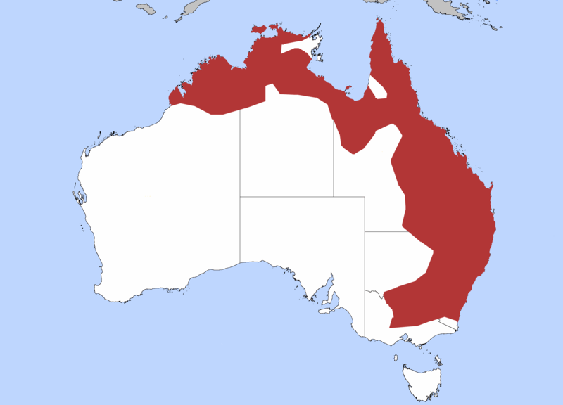 File:Dollarbird Range.png