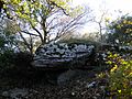 Vorschaubild für Dolmen von Combescure