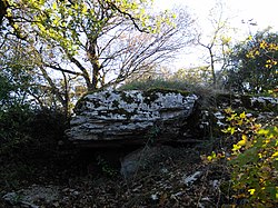 Der Dolmen von Combescure