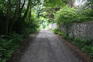 <span class="mw-page-title-main">Pwllfanogl</span> Human settlement in Wales