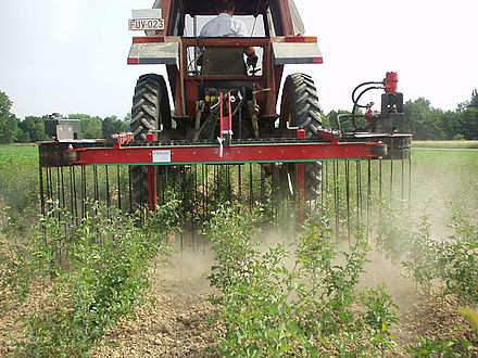 A mechanical weed control device.