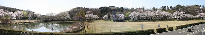 The Earth Observation Center is known for cherry blossoms in spring (7 April 2009). EOC Spring.jpg
