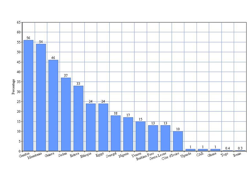 File:FGM prevalence 0–14 (2).jpg