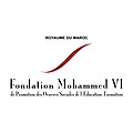 FONDATION MVI logo.jpg